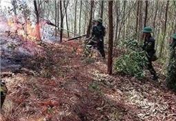 Cán bộ, chiến sĩ Trung đoàn 750, Bộ CHQS tỉnh Bắc Kạn khẩn trương ứng phó với cháy rừng